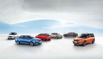 斯柯達品牌喜迎120周年 全球年銷量突破百萬 中國市場增長26%